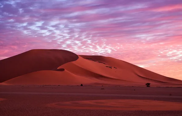 Sand, the sky, clouds, nature, desert, the evening, morning, dunes