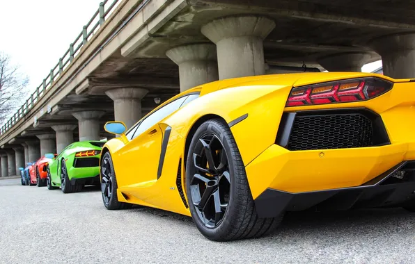 Picture green, Lamborghini, red, yellow, blue, LP700-4, Aventador, supercars