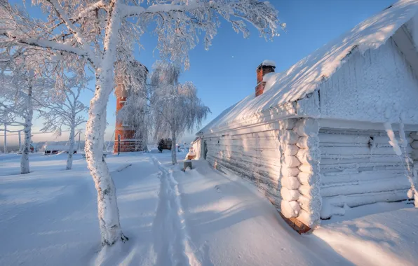 Cold, snow, frost, Perm Krai, White mountain