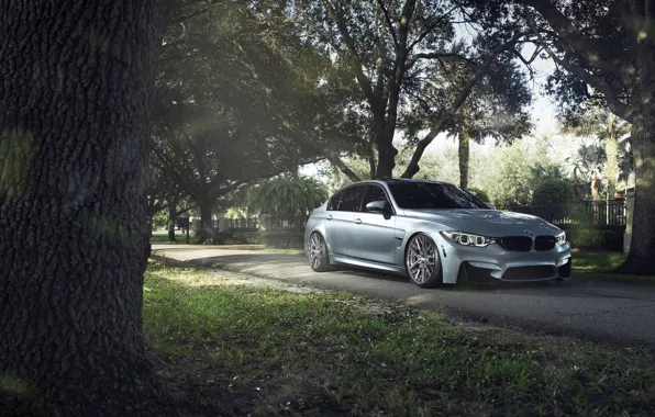 Picture BMW, German, Car, Sport, Silver, 2015, F80, M3