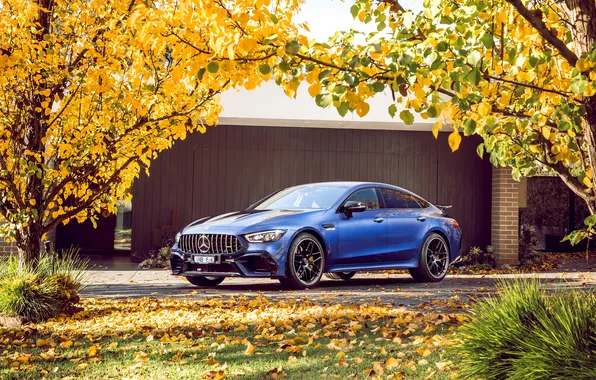 Picture car, Mercedes-Benz, grass, trees, blue, leaves, blue cars, fall