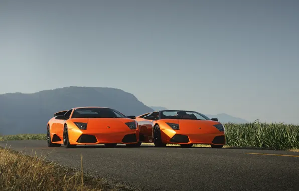 Lamborghini, murcielago, lp640, roadster, orange