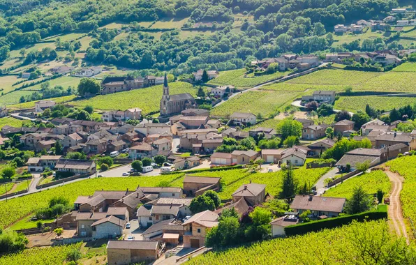 Picture rock, landscape, wine, mark, mountain, village, plants, vegetable