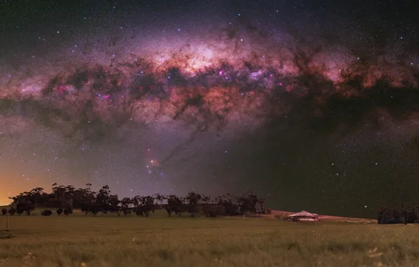 Field, the sky, grass, stars, trees, landscape, night, nature