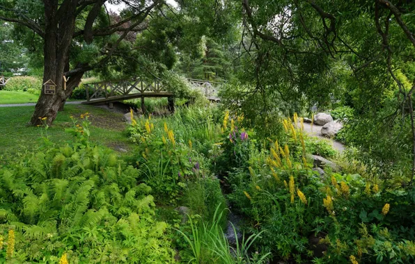 Picture trees, landscape, flowers, bridge, nature, Park, beauty