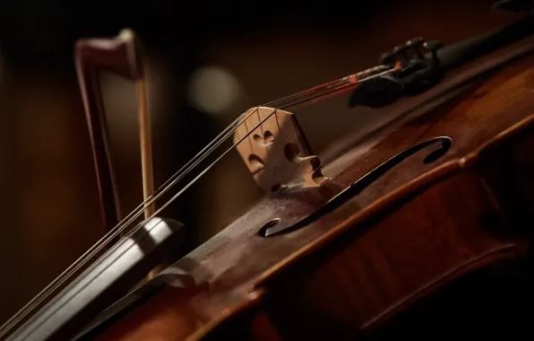 Macro, music, violin