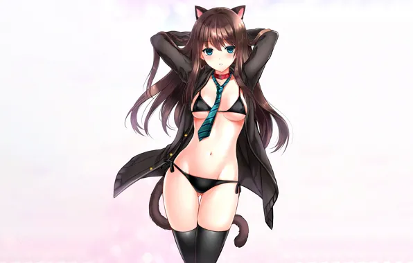 Girl, sexy, lingerie, pantsu, bra, cleavage, panties, thighhighs