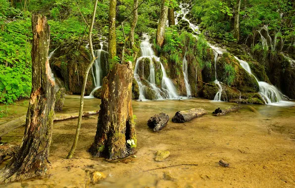 Greens, forest, trees, lake, waterfall, moss, Croatia, Plitvice Lakes