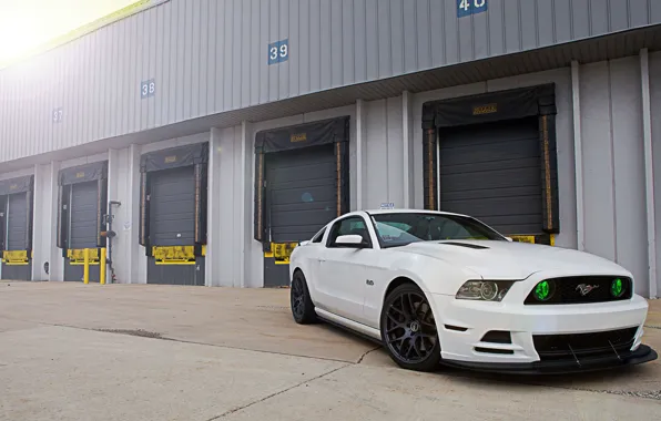 White, Mustang, Ford, GT500, Mustang, Ford, 5.0