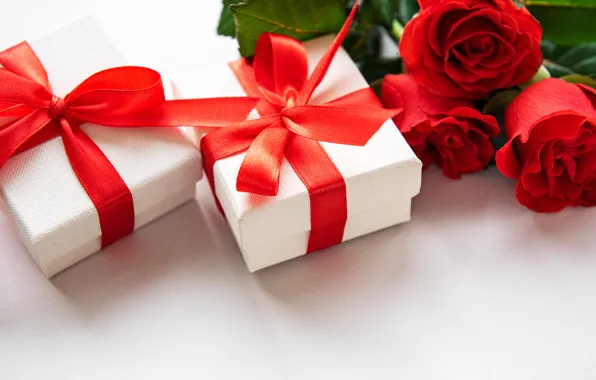 Roses, tape, gifts, Valentine's Day, Olena Rudo