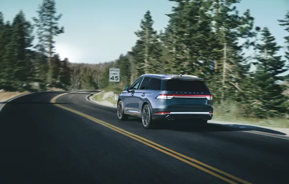 Road, Lincoln, speed, rear view, Aviator, 2020