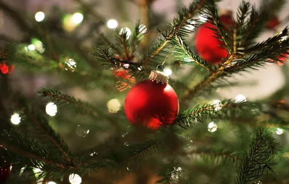 Picture balls, light, branches, red, lights, holiday, tree, new year