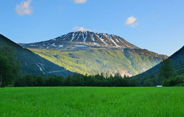 Nature, Field, Grass, Norway, Nature, Grass, Mountain, Norway