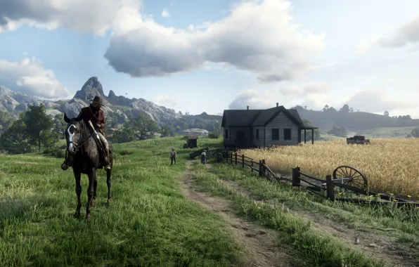 Picture background, the game, Red Dead Redemption II