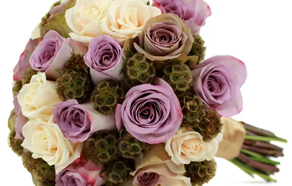 Picture flower, flowers, roses, bouquet, white, lilac