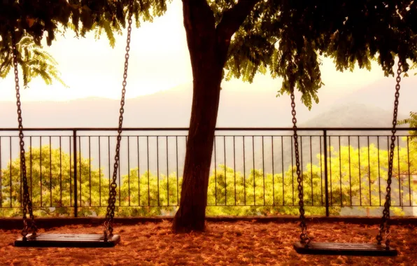 Picture background, swing, tree