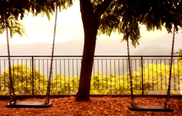 Trees, background, swing