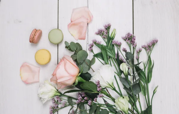 White, background, roses, bouquet, wood, macaron