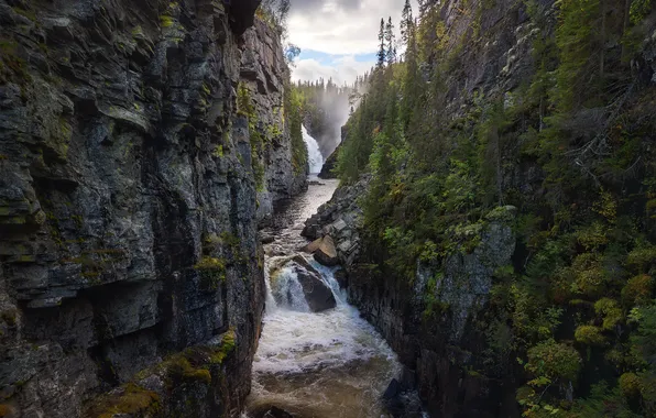 Mountains, nature, river