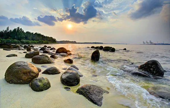 Sea, the sky, clouds, trees, sunset, stones, ship, crane