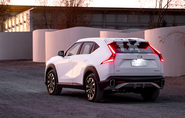 Machine, technique, SUV, car, SUV, Chinese car, GAC Emkoo