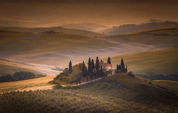 Picture field, home, morning, Italy, Tuscany