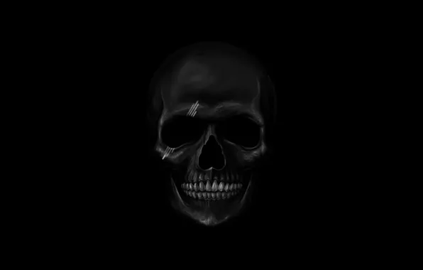 Picture background, skull, teeth, sake