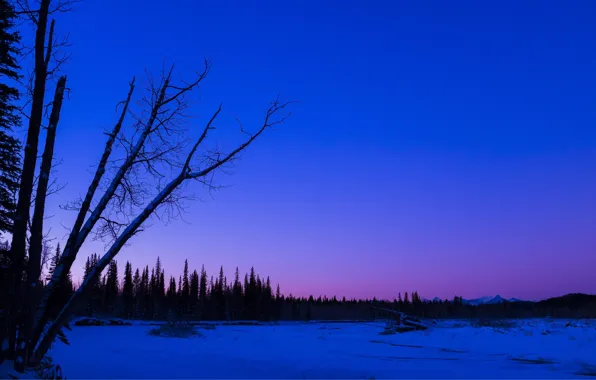Alberta, winter, snow, morning, sunrise, frost, Redwood Meadows