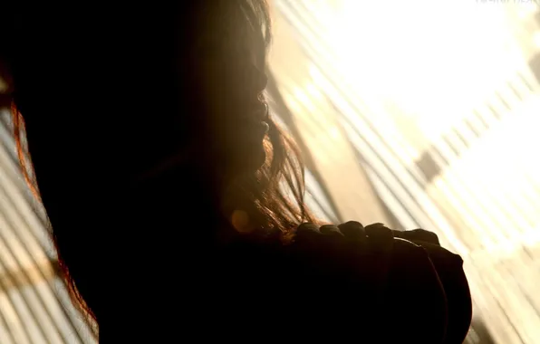 Chest, light, silhouette, contrast