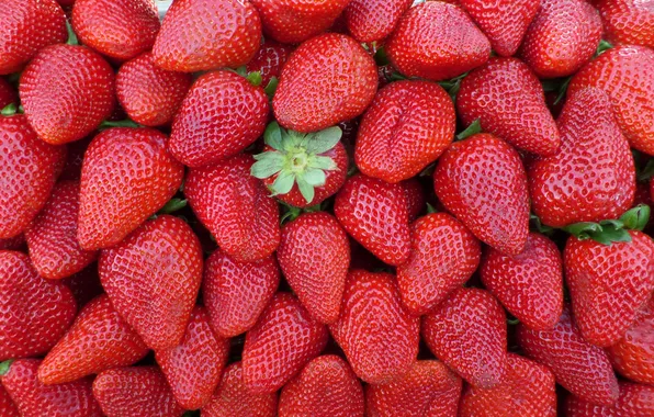 Berries, strawberry, fresh, strawberry, berries