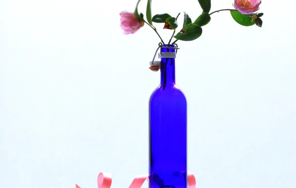 Picture flowers, bottle, still life, Camellia