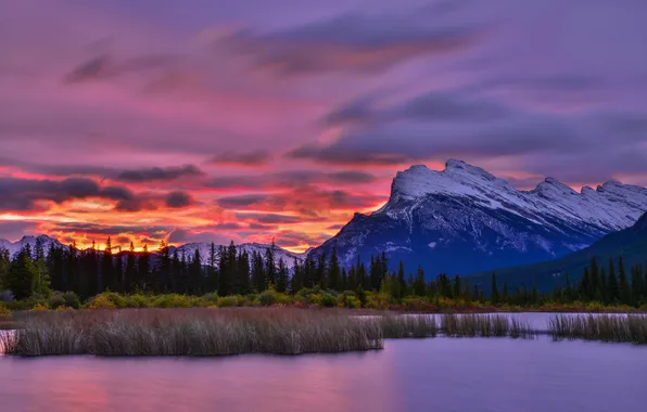 Sky, trees, landscape, nature, sunset, clouds, lake, Mountains