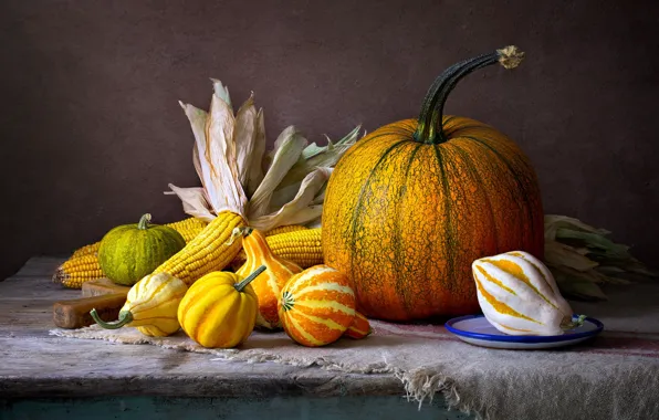 Picture the cob, the dark background, items, table, composition, corn, pumpkin, still life