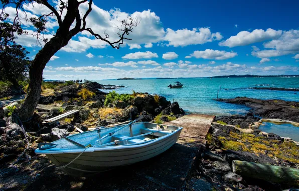 Sea, the sky, the sun, clouds, trees, stones, coast, boat