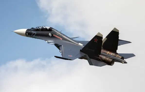 Fighter, multipurpose, Su-30CM, Su-30SM, Air force Russia