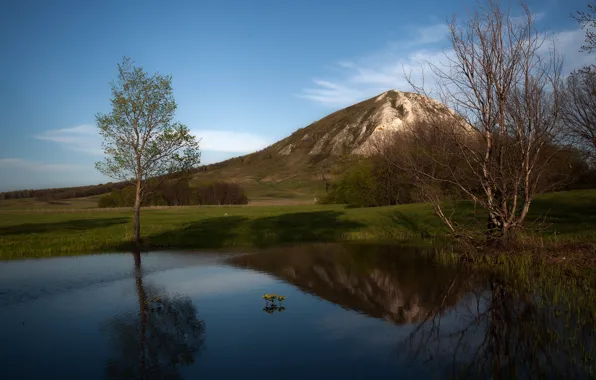 Trees, landscape, mountains, nature, lake, spring, Coat of arms, Tamara Andreeva