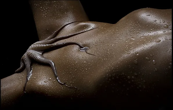 Feet, body, octopus