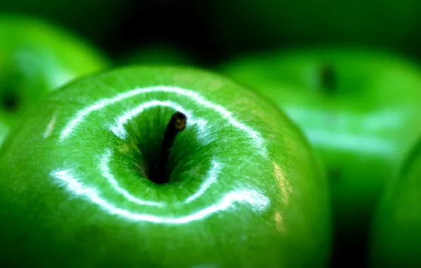 Picture macro, apples, food, focus, fruit, food, macro, focus