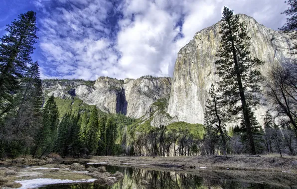 Forest, trees, mountains, river, CA, USA, Yosemite National Park