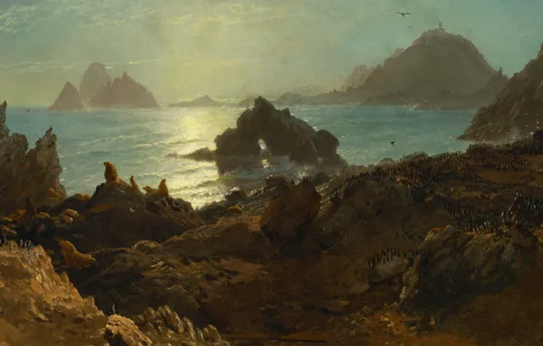 Landscape, nature, picture, Albert Bierstadt, Islands The Farallon