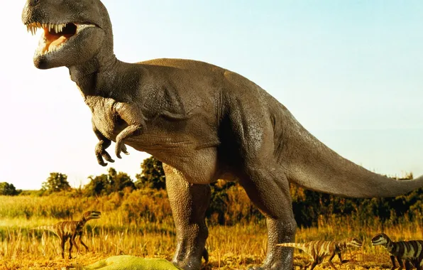 Animals, Dinosaur, the Jurassic period, fake
