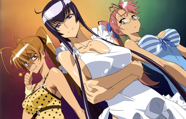 Saeco Busujima, Ray Miyamoto, School Of The Dead, Bushijima Saeko, Ray Miaymoto, High School of …