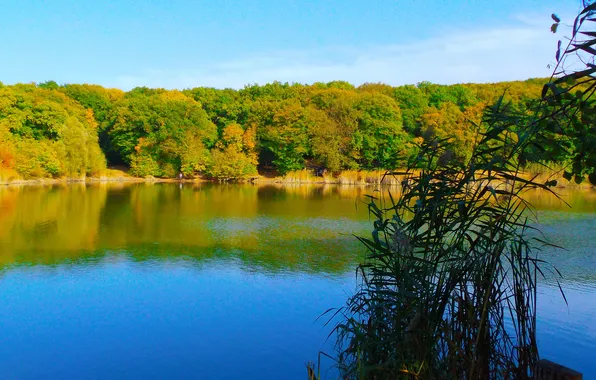 Autumn, lake, Nature, beauty, Crimea, rest.