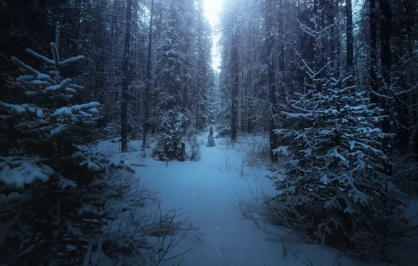 Winter, forest, girl, TJ Drysdale