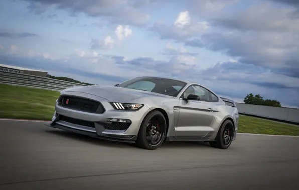 Picture grey, movement, Mustang, Ford, Shelby, GT350R, 2020