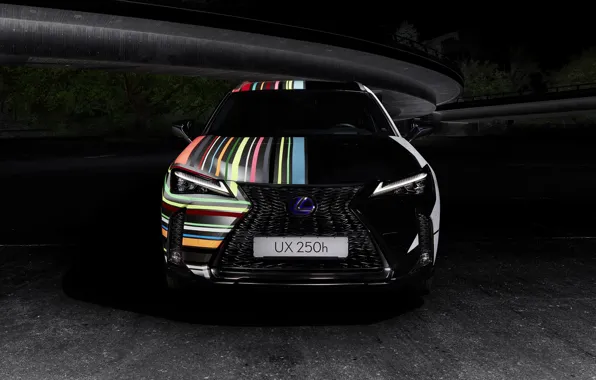 Lexus, front view, crossover, 2019, F SPORT, By Rene Turrek, UX 250h