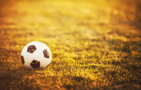 Grass, sport, the ball