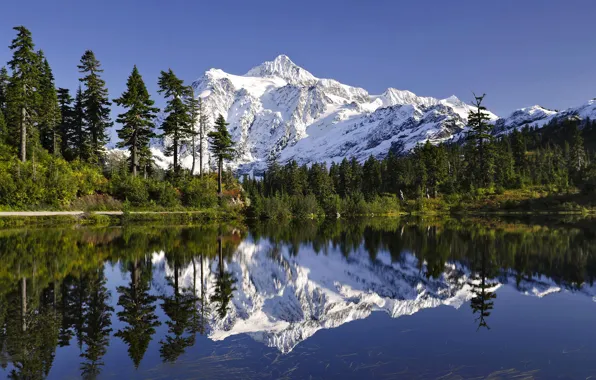 Forest, the sky, snow, trees, mountains, lake, reflection, spruce