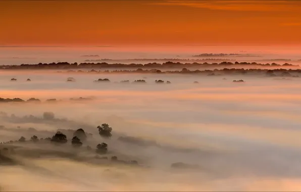 Picture field, the sky, trees, sunset, fog