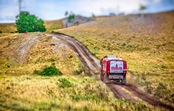 Red, Sport, Truck, Race, Hill, Rally, Rally, The roads